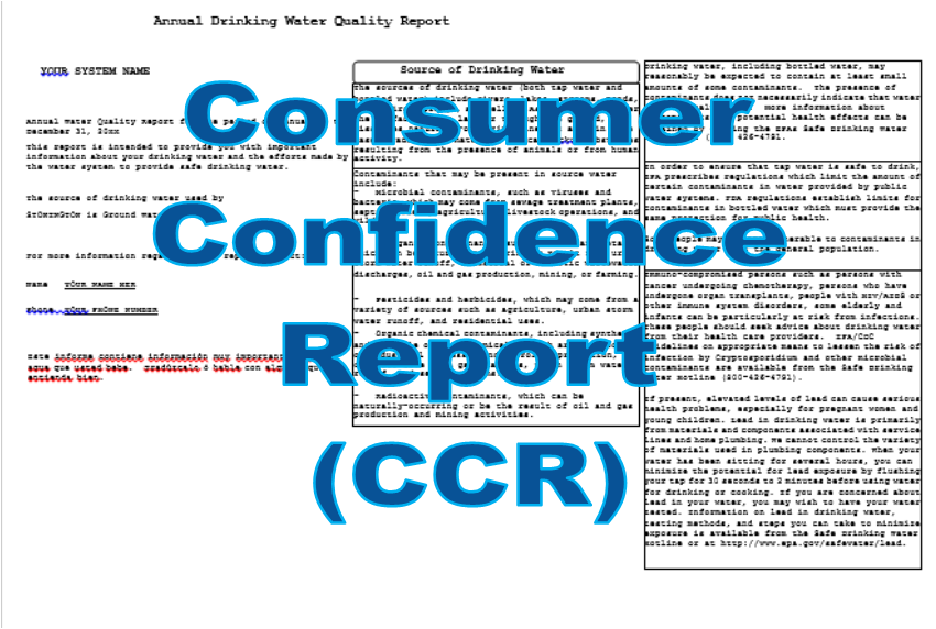screenshot of CCR pg 1
