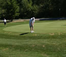 photo of golfer putting