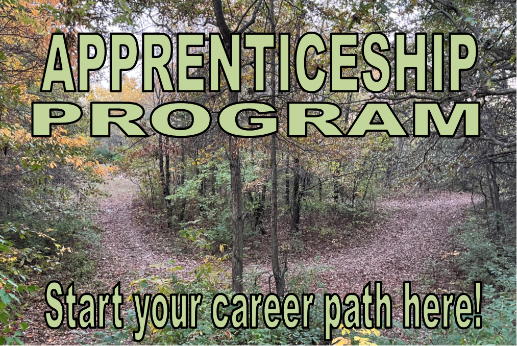 clip art of man at a fork in a road