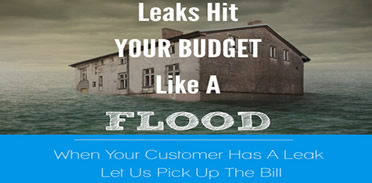 house in a flood graphic
